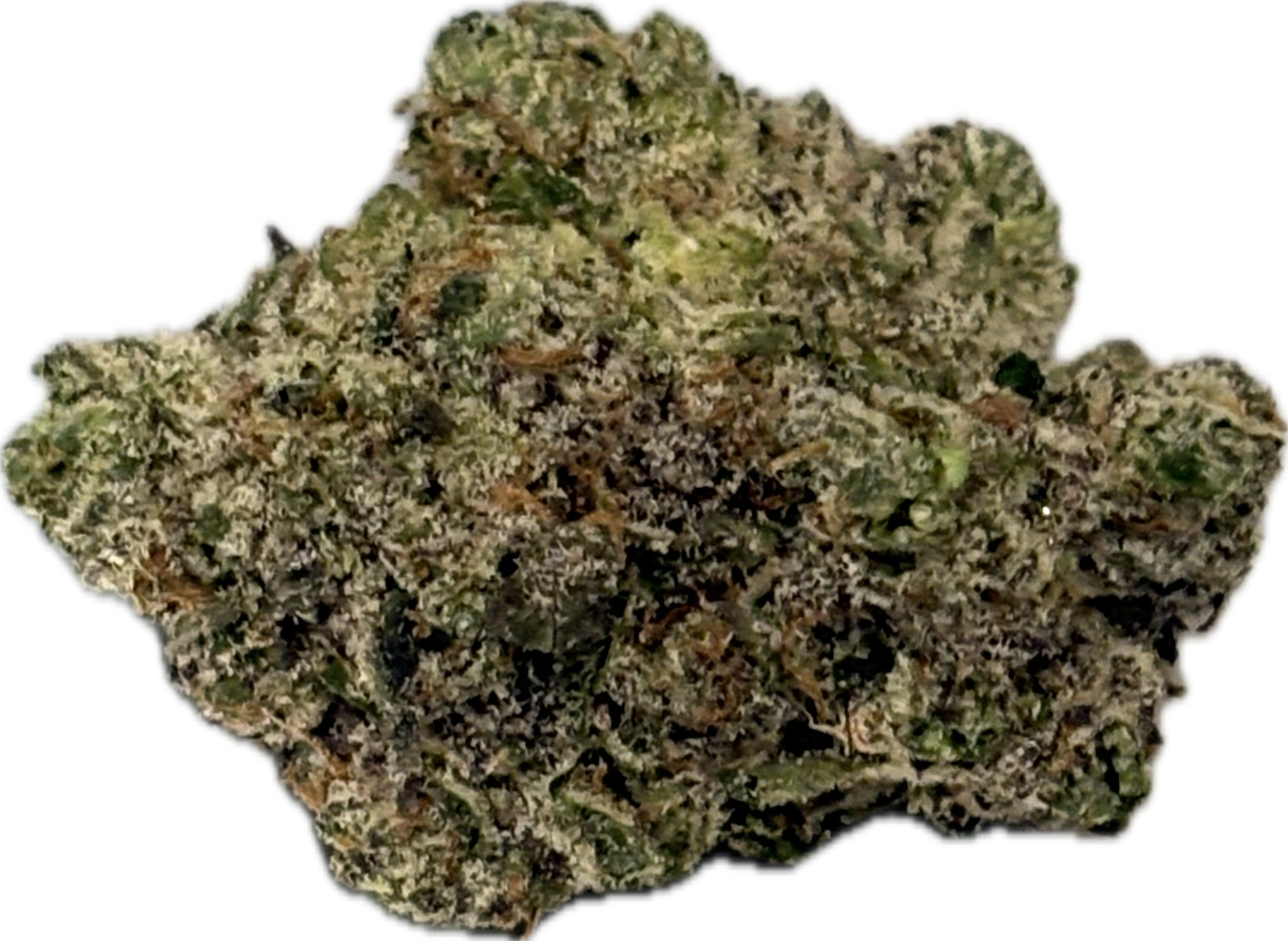 Jelly Pop